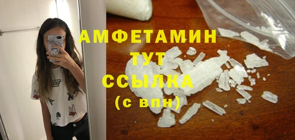 шишки Абаза