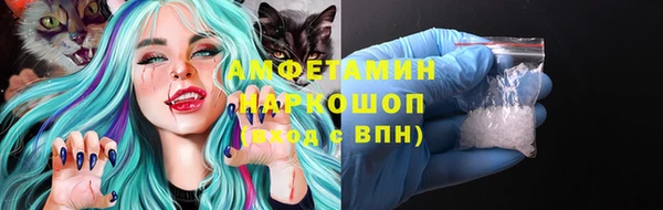шишки Абаза