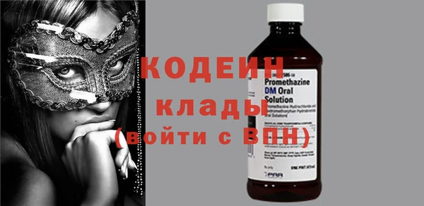 шишки Абаза
