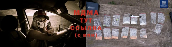 шишки Абаза