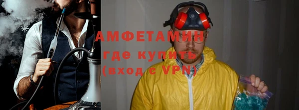 шишки Абаза