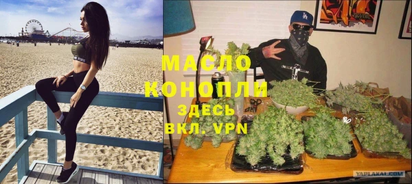 шишки Абаза