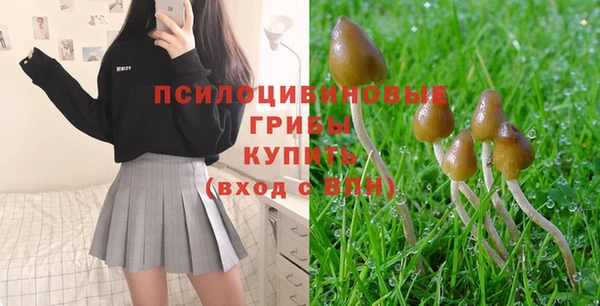 шишки Абаза
