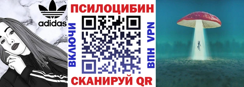 Псилоцибиновые грибы Psilocybine cubensis  Заводоуковск 